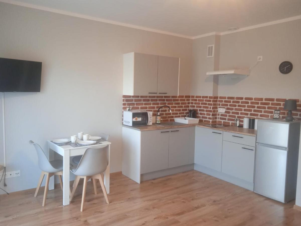 Przytulny Apartament W Sercu Karkonoszy 耶莱尼亚古拉 外观 照片