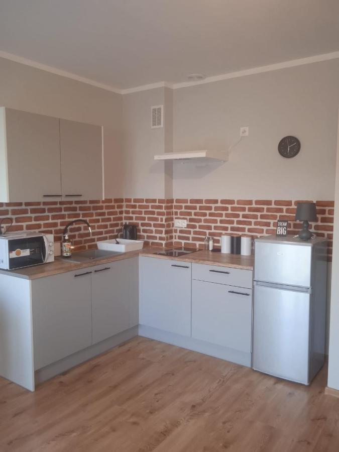 Przytulny Apartament W Sercu Karkonoszy 耶莱尼亚古拉 外观 照片
