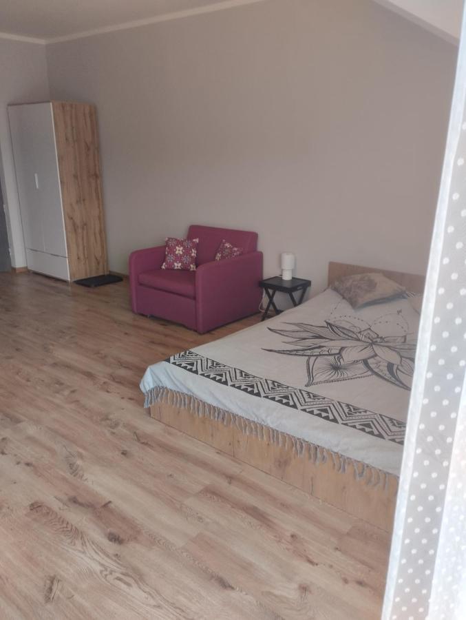 Przytulny Apartament W Sercu Karkonoszy 耶莱尼亚古拉 外观 照片